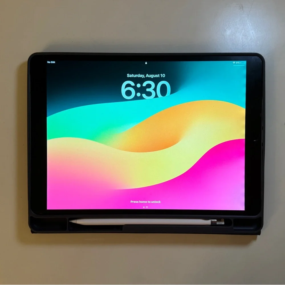 iPad Pro (10.5 inch) 256GB